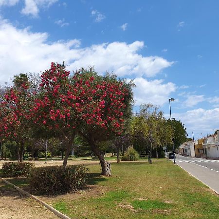 El.Paraiso, Torrevieja Exteriör bild